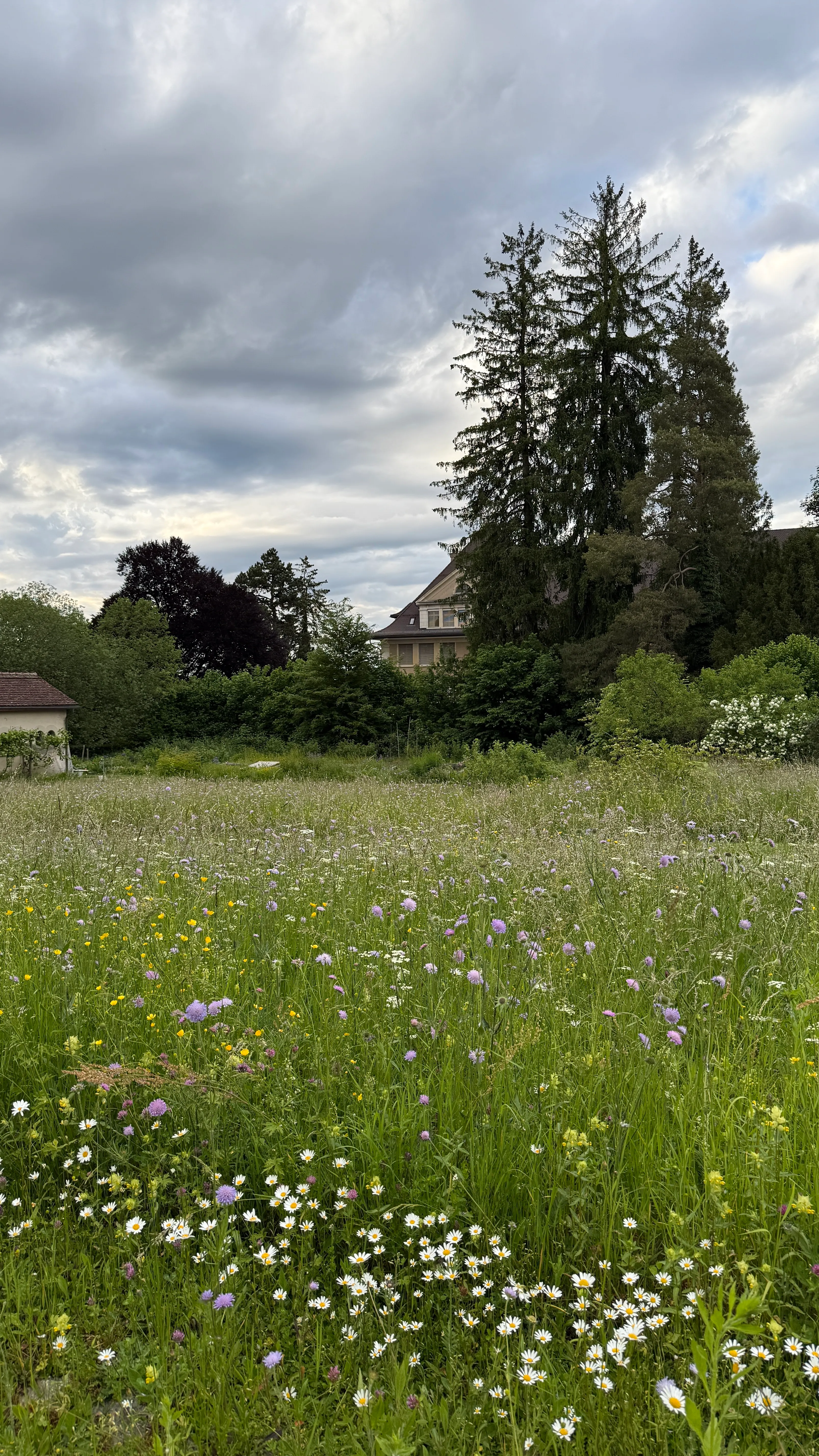 Yoga Session unter freiem Himmel